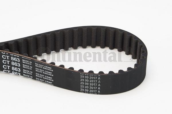 Timing Belt